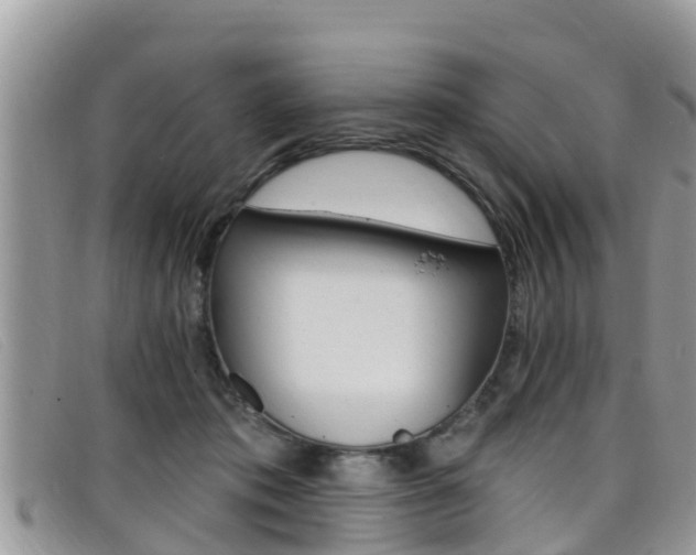 X0000099440413200805090752