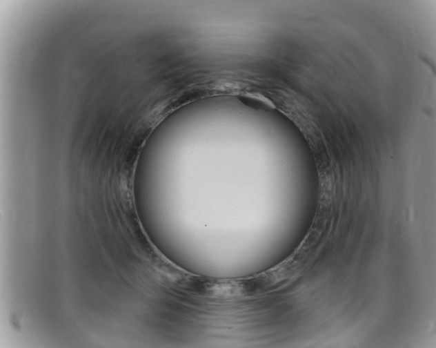 X0000099440415200805090752