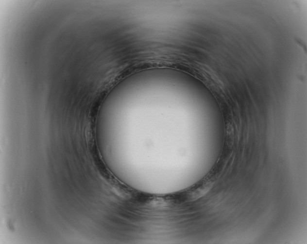 X0000099440416200805090752