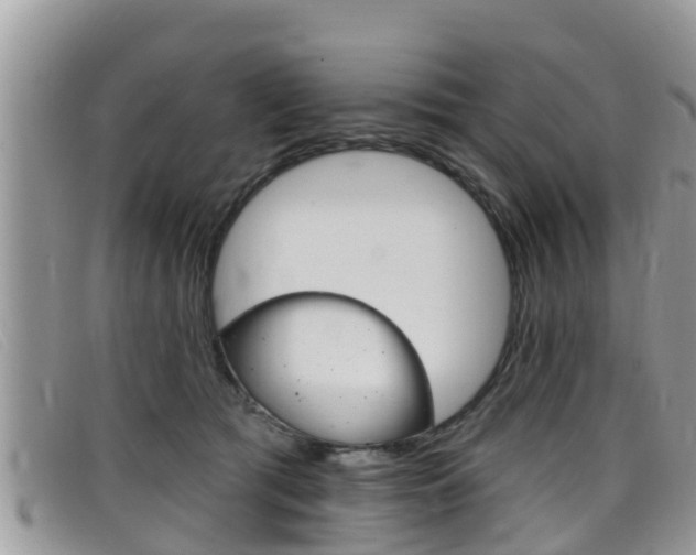 X0000099440417200805090752