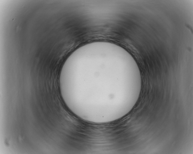 X0000099440419200805090752