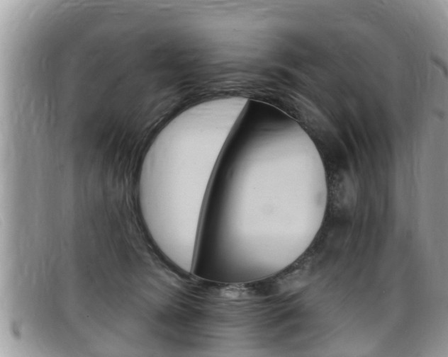 X0000099440420200805090752
