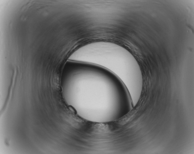 X0000099440421200805090752
