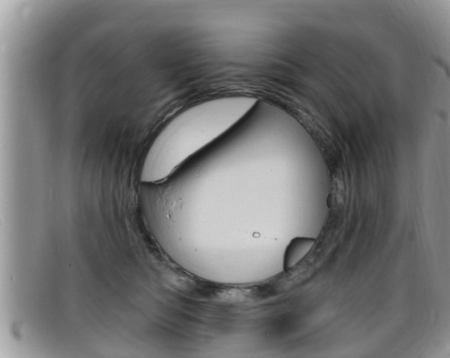 X0000099440422200805090752
