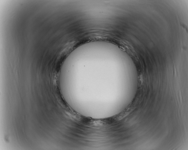 X0000099440423200805090752