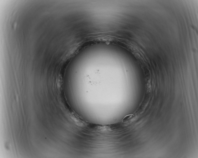 X0000099440424200805090752