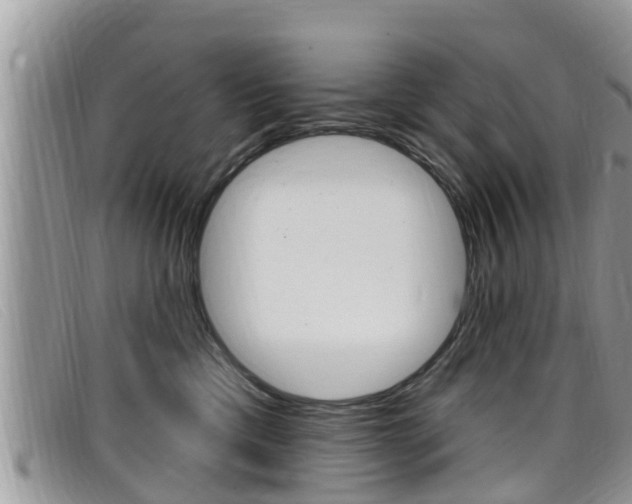 X0000099440425200805090752