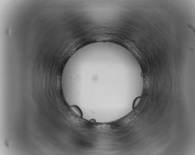 X0000099440426200805090752