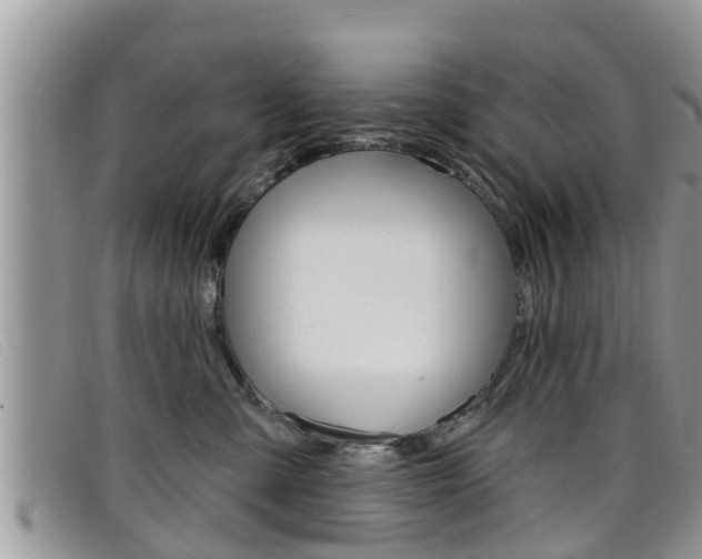 X0000099440427200805090752