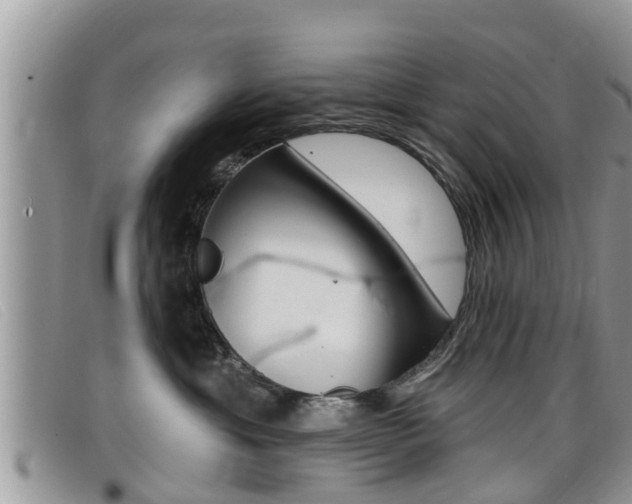 X0000099440429200805090752