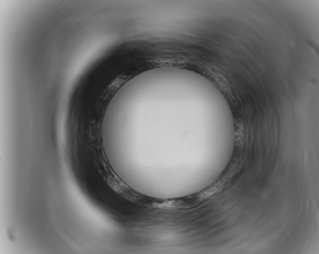 X0000099440430200805090752