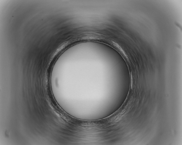X0000099440435200805090751