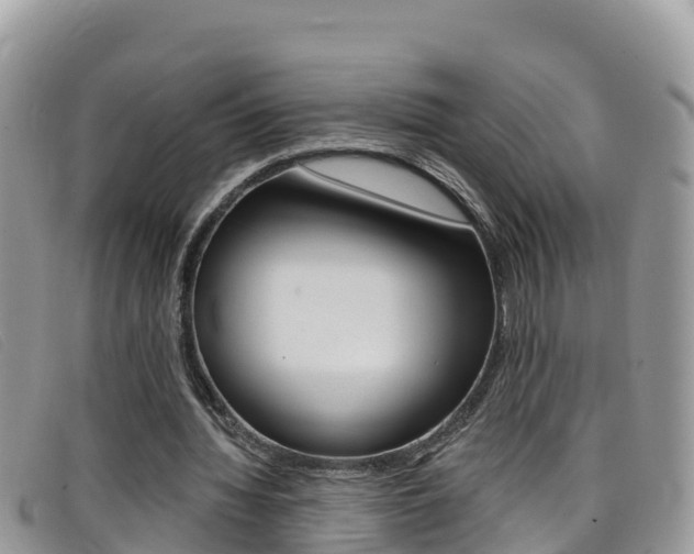X0000099440436200805090751