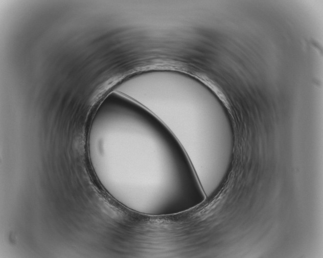 X0000099440437200805090751