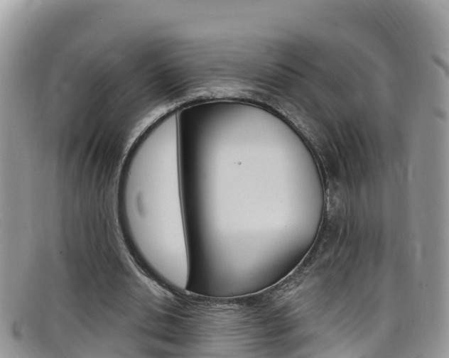 X0000099440438200805090751
