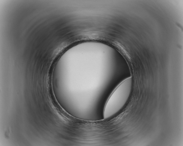 X0000099440439200805090751