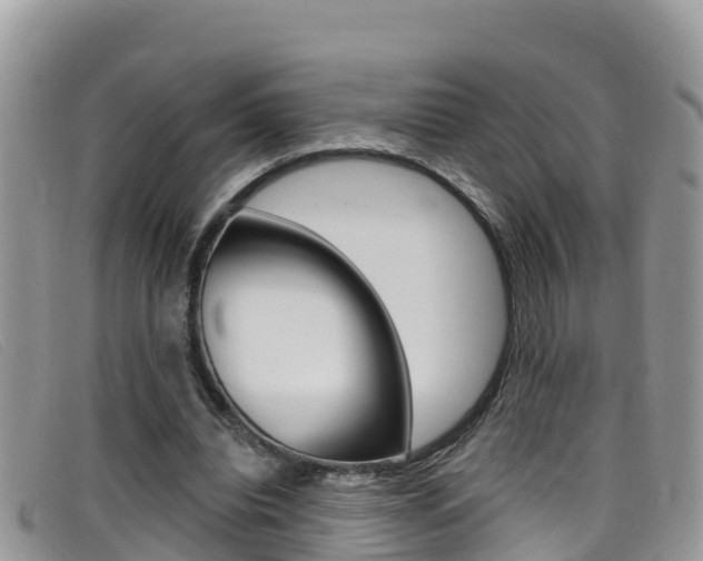 X0000099440440200805090751