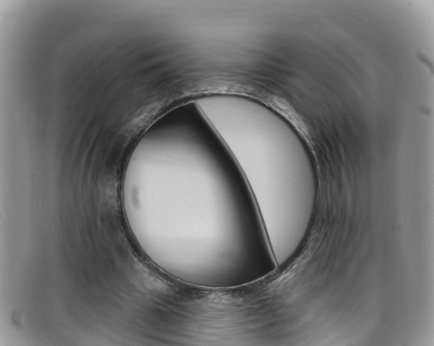 X0000099440441200805090751