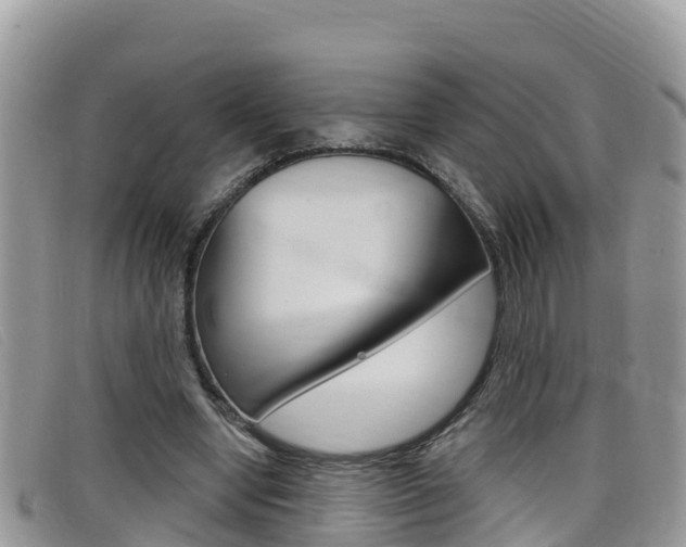 X0000099440442200805090751