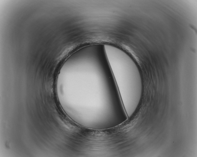 X0000099440443200805090751