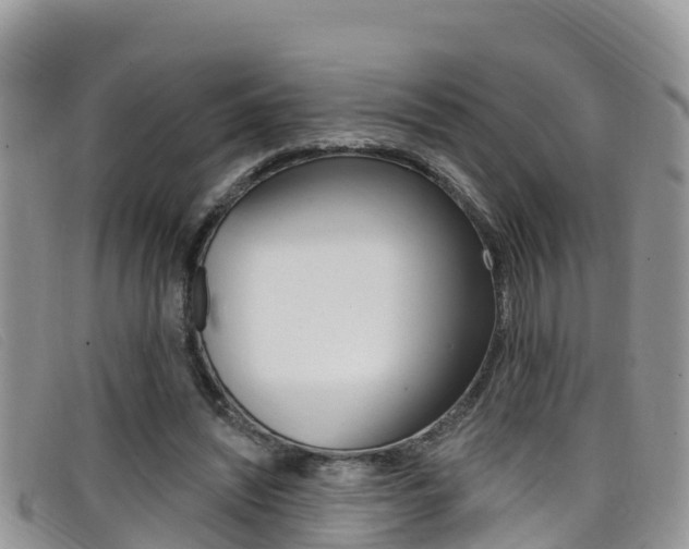 X0000099440444200805090751