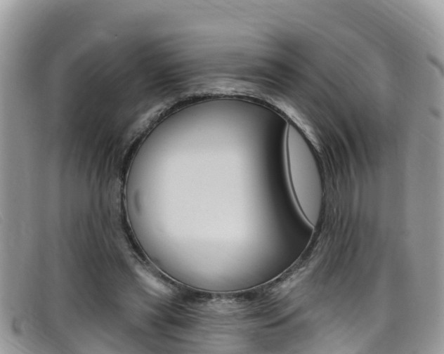 X0000099440445200805090751