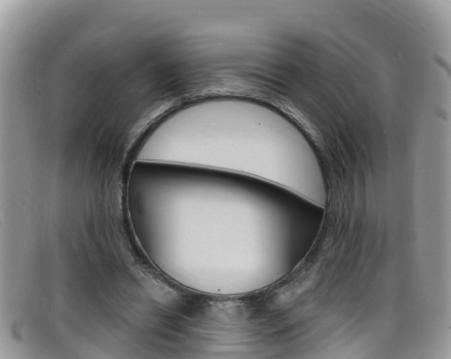 X0000099440446200805090751