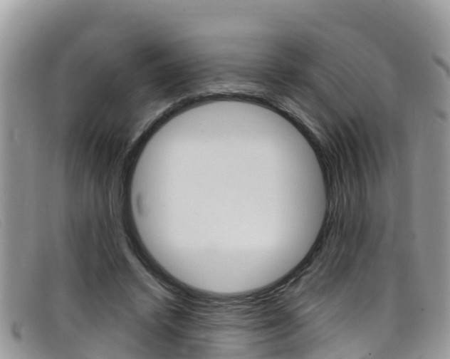 X0000099440448200805090751