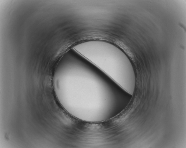 X0000099440449200805090751