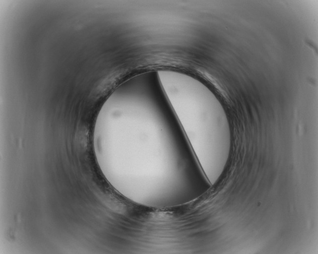 X0000099440451200805090751