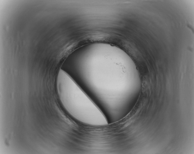X0000099440454200805090751