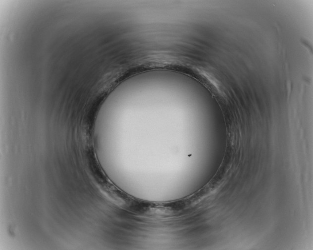 X0000099440455200805090751