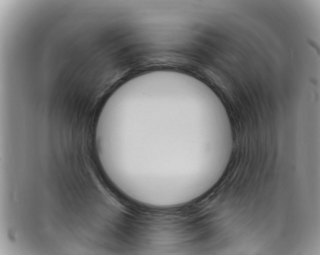 X0000099440456200805090751