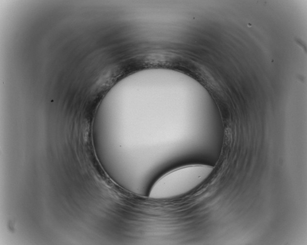 X0000099440458200805090751