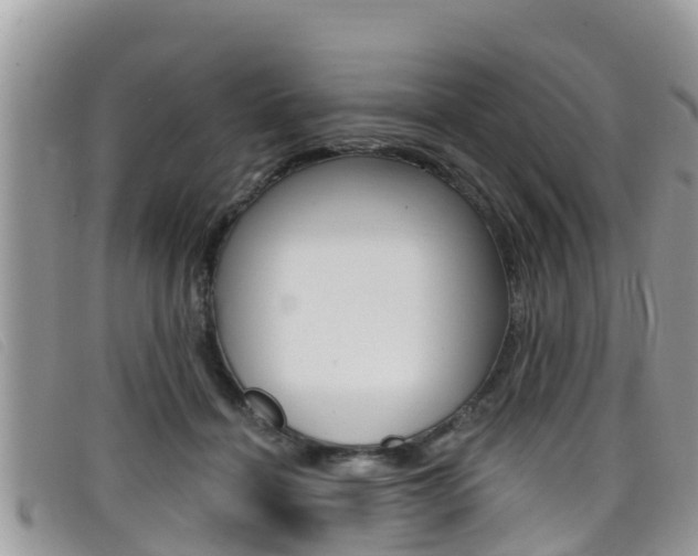 X0000099440460200805090751