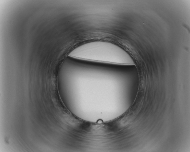 X0000099440461200805090751