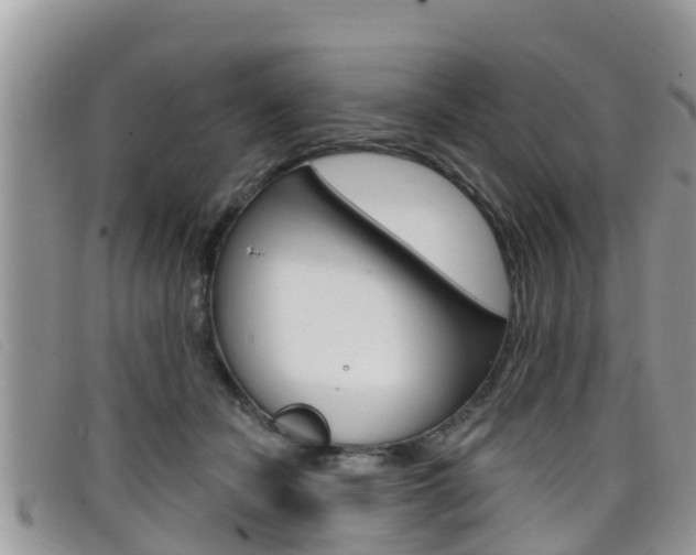 X0000099440462200805090751