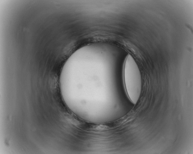 X0000099440463200805090751