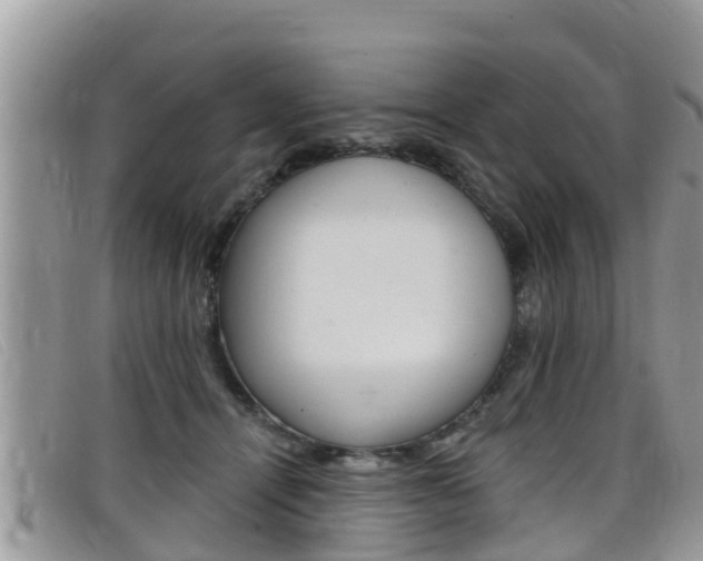 X0000099440464200805090751