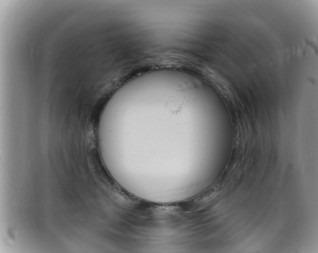 X0000099440465200805090751