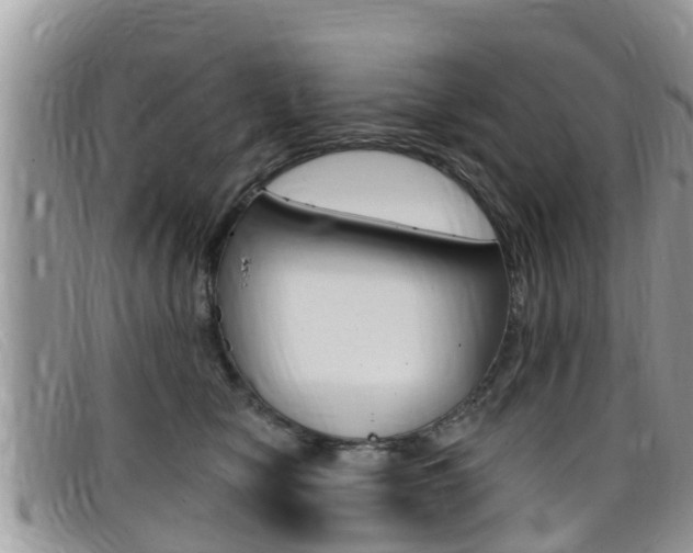 X0000099440470200805090751