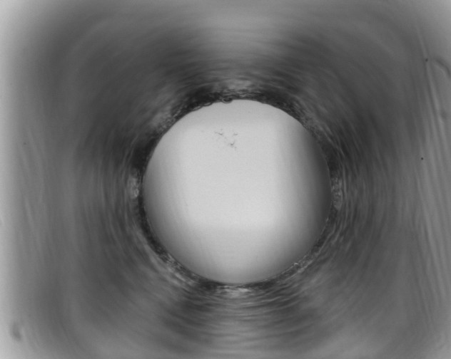 X0000099440472200805090751