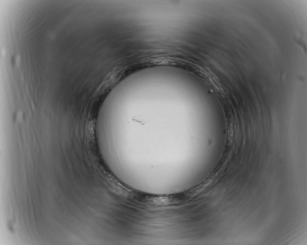 X0000099440473200805090751