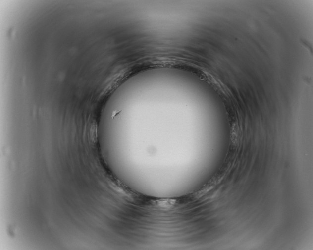 X0000099440474200805090751