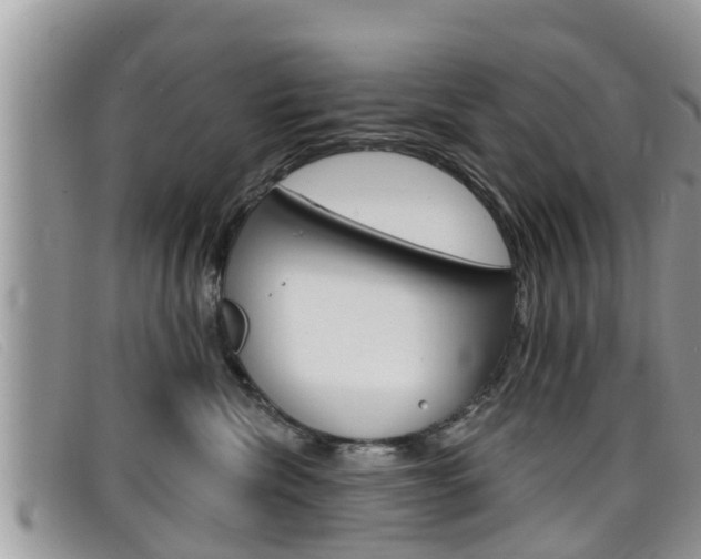 X0000099440476200805090752