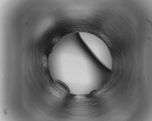 X0000099440477200805090752