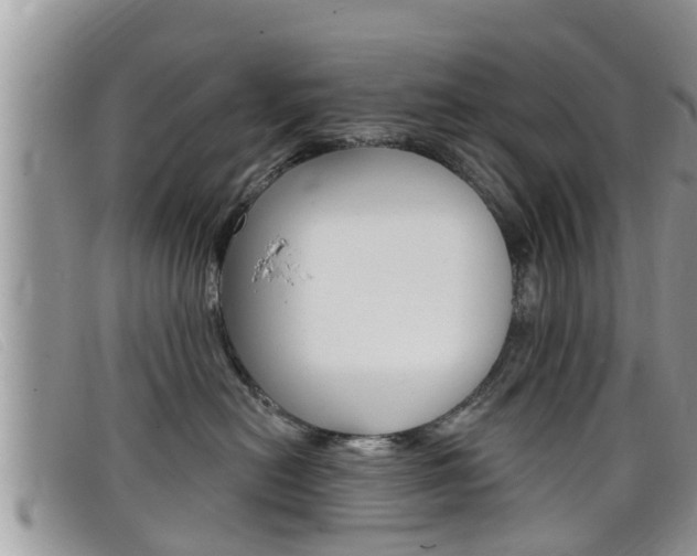 X0000099440478200805090752