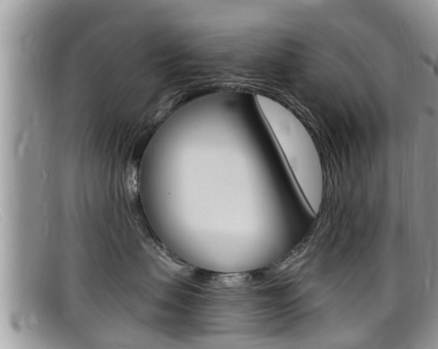 X0000099440479200805090752