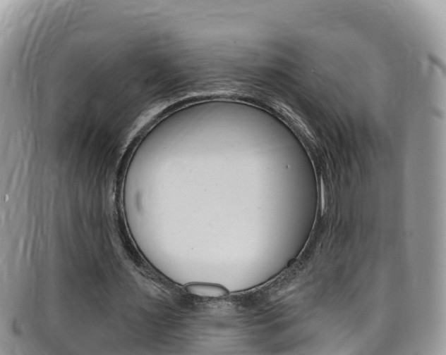 X0000099440483200805090751