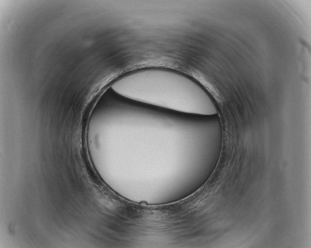 X0000099440486200805090751